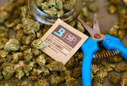 BOVEDA 58% - CONSTANT HUMIDITY MAINTENANCE |  4gr INDIVIDUALLY WRAPPED