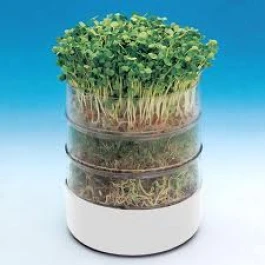 BIOS - BIOSET SEED GERMINATOR