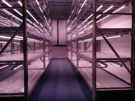 GEOPONICA - BOX INDOOR FARM | CONTAINER 12x2,4x2,8m