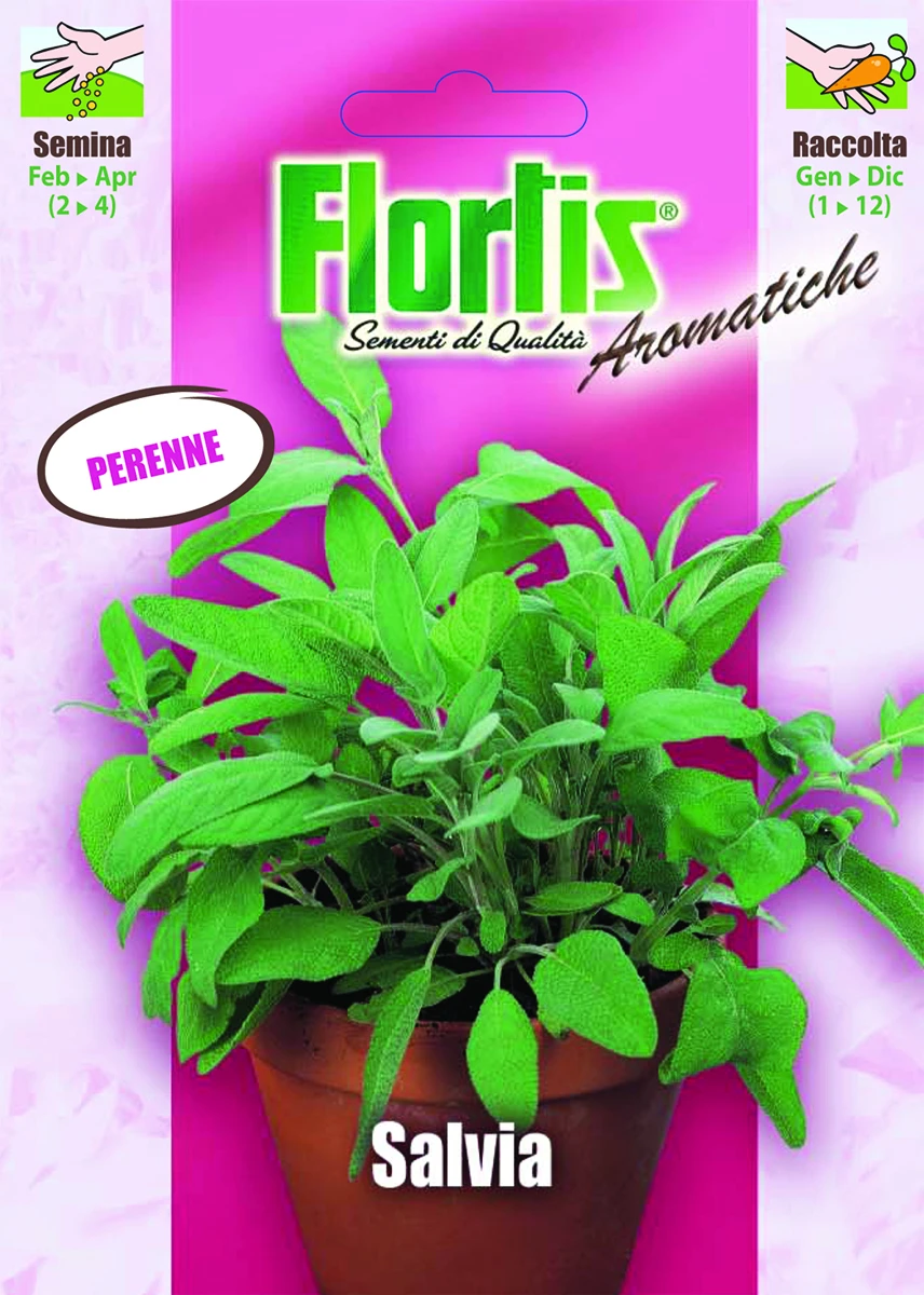 4357045 - FLORTIS | SALVIA