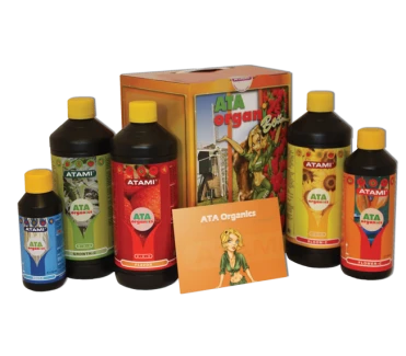 AOBA - ATA ORGANICS BOX ATAMI B'CUZZ