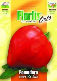 4355275 - FLORTIS | POMODORO CUOR DI BUE