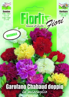 4351055 - FLORTIS | GAROFANO CHABAUD DOPPIO MIX