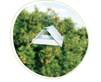 71828004PB - RECHARGES ADHÉSIVES POUR PIÈGES À PHÉROMONES UNIVERSELS