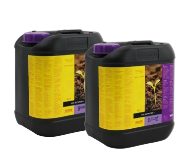 BTAB5 - ATAMI B'CUZZ - SOIL A+B | 2x5lt