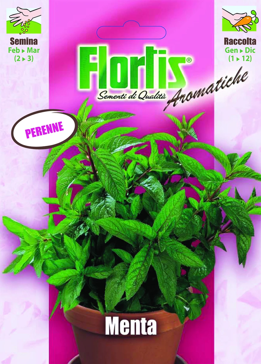 4357025 - FLORTIS | MENTA