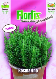 4357035 - FLORTIS | ROSMARINO