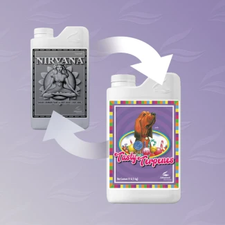 3550-14 - NUTRIMENTS AVANCÉS - TASTY TERPENE (EX-NIRVANA) | 1L