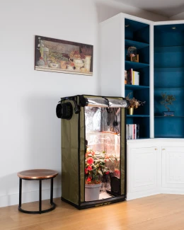 SECRET JARDIN - FOR TWENTY FS100 | 60x40x116h cm - 100W