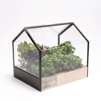 KITEXPOMCHG - AGRICOOLTUR - MICROHORTUS | MODULO DI COLTIVAZIONE ED ESPOSIZIONE