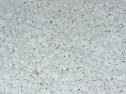 FLORTIS - PERLITE | 2L