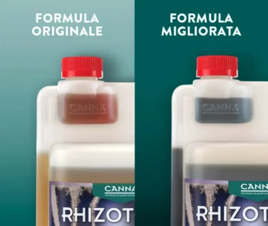 rhizotonic-xp-canna-differenze
