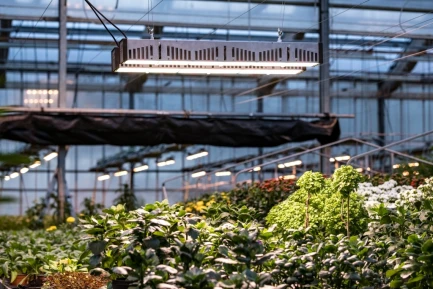 evo-6c-compact-sanlight-Indoorline-2