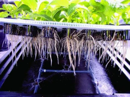 X-STREAM PROPAGATORE AREOPONICO 20 VASI NUTRICULTURE