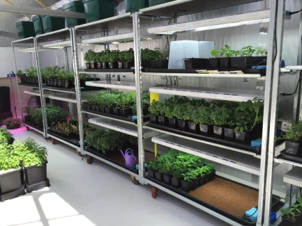 AUTOPOT - COCOMAT TAPPETO DI COCCO PER SUBIRRIGAZIONE | 58x51x3h cm