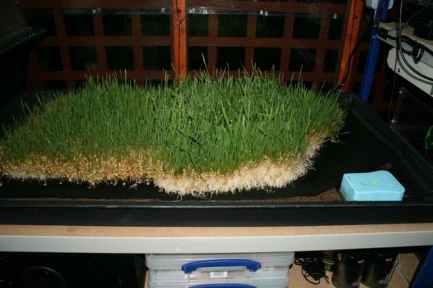 esempi di utAUTOPOT - COCOMAT TAPPETO DI COCCO PER SUBIRRIGAZIONE | 58x51x3h cmilizzo