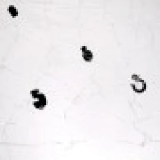 TENT NET 120X120 RETE SORREGGI PIANTE PER BARRE DA 15 A 18 MM DI DIAMETRO