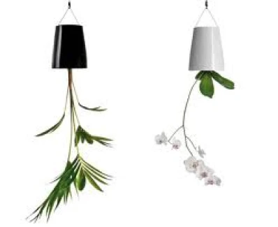 SKYPLANTER MEDIUM NERO