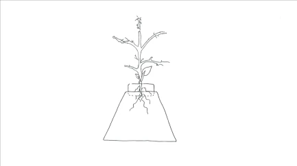 HGA GARDEN - EAZY PYRAMID BLOCCO DI COLTIVAZIONE | 4,5L | Indoorline