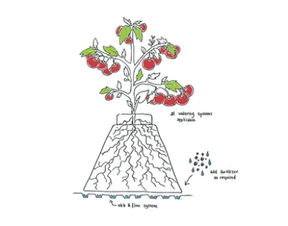 HGA GARDEN - EAZY PYRAMID BLOCCO DI COLTIVAZIONE | 4,5L | Indoorline