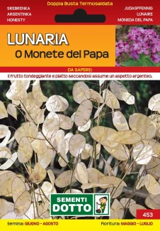 Lunaria