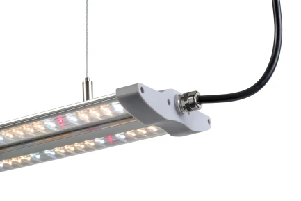 HORTIMOL - TLED FULL SPECTRUM FSG | 40W 4000K Indoorline