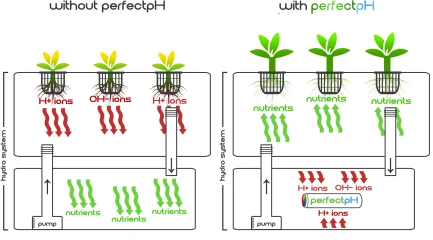 TORUS HYDRO - PERFECTpH ORIGINAL 100GAL | 379L Indoorline