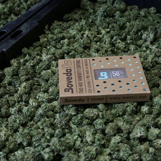 BOVEDA 58% - MANTENIMENTO UMIDITA' COSTANTE | BOX 6pz DA 320gr IMBUSTATO SINGOLARMENTE Indoorline