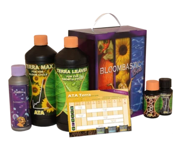 ATSK - ATA TERRA  BLOOMBASTIC BOX ATAMI B'CUZZ