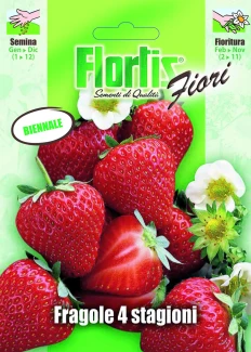 4351350 - FLORTIS | FRAGOLA 4 STAGIONI