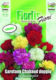 4351055 - FLORTIS | GAROFANO CHABAUD DOPPIO MIX