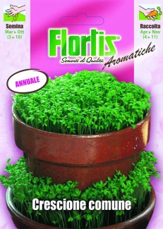 4357005 - FLORTIS | CRESCIONE COMUNE