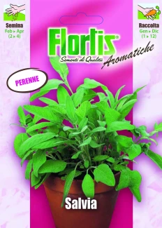 4357045 - FLORTIS | SALVIA