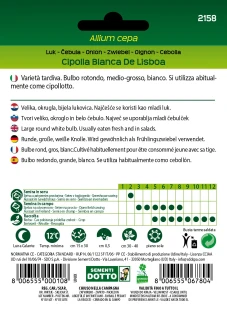 Cipolla Blanca De Lisboa