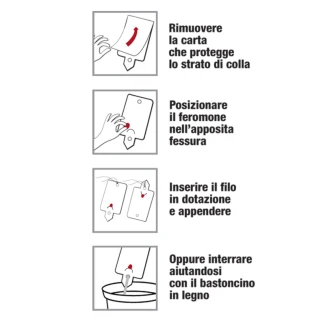 FLORTIS - TRAPPOLA PIRALIDE DEL BOSSO CON FEROMONE