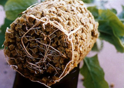 GRODAN - GRO-WOOL GRANULATO TAGLIA MEDIA | 20Kg | Indoorline