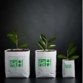 PANDORA 10 X 12 X 30 h ( 2 LITRI ) 100 PEZZI