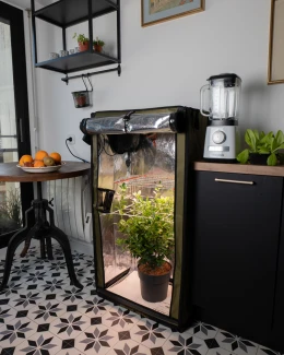 SECRET JARDIN - FOR TWENTY FS100 | 60x40x116h cm - 100W